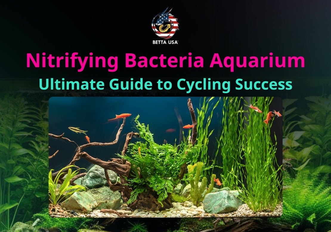 Combined Nitrifying Bacteria Tank Reference: Nitrifying Bacteria Aquarium Ultimate Guide To Cycling Success