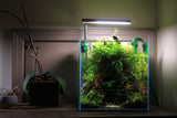 UNS 30C - 7.1 Gallon Ultra Clear Rimless Aquarium - Betta USA Aquatic