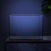 Ultra Clear Rimless Glass Aquarium - Black Glue Fish Tank