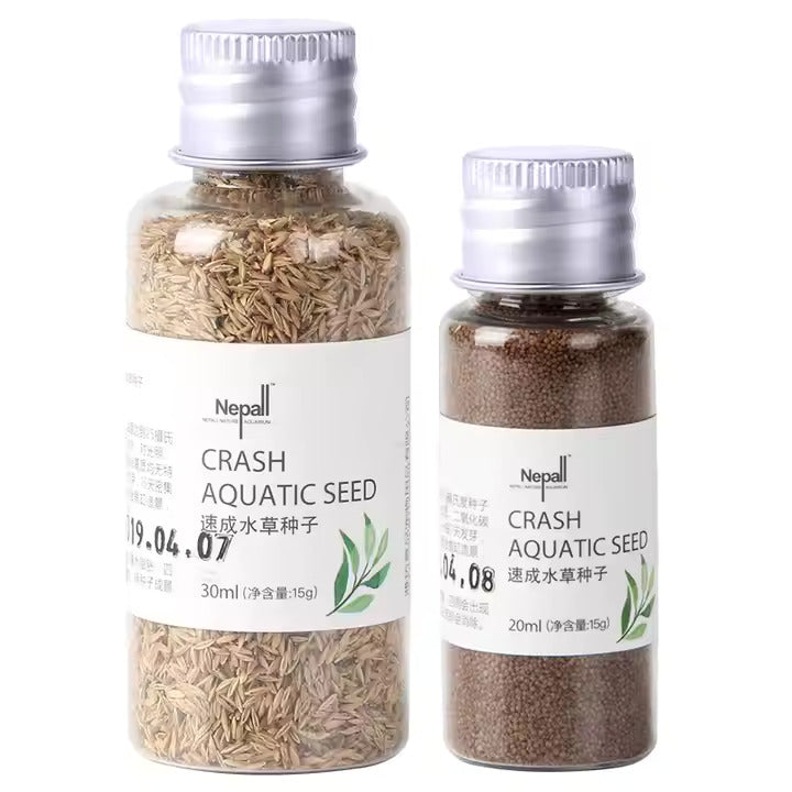seeds for aquarium plants YEE Aquarium Plant Seeds – Betta USA Aquatic