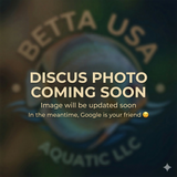 Spotted Face Leopard Discus | Symphysodon aequifasciatus - Betta USA Aquatic