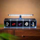 Ultra Clear Multi-Grid Betta Aquarium – Premium Isolation Fish Tank with Dual Filtration System