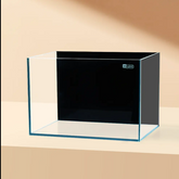 Ultra Clear Rimless Glass Aquarium – Modern Minimalist Fish Tank with Black Background