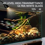Ultra Clear Rimless Glass Aquarium – Modern Minimalist Fish Tank with Black Background