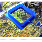Square Feeding Ring for Fish Tank