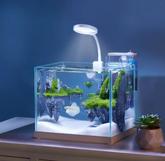 Nepall Miniature Landscape Sky City Moss