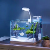 Nepall Miniature Landscape Sky City Moss