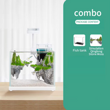 Nepall Miniature Landscape Sky City Moss