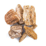 Burmese Petrified Wood