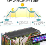 Hygger LED Light - 24/7 Mode - Betta USA Aquatic