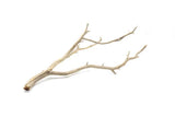 Manzanita Driftwood