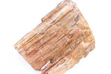 Petrified Wood
