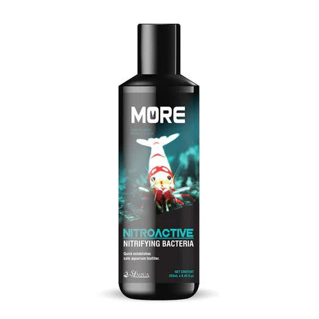 SL-Aqua Black MORE Nitrifying Bacteria for Bee Shrimp - Betta USA Aquatic