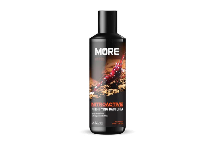 SL-Aqua Black MORE Nitrifying Bacteria for Sulawesi Shrimp - Betta USA Aquatic
