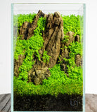 UNS 16T - 1.6 Gallon Ultra Clear Rimless Aquarium - Betta USA Aquatic