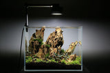 UNS 3N - 2.9 Gallon Ultra Clear Rimless Aquarium - Betta USA Aquatic