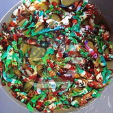 PREMIUM GRADE - Female Koi Galaxy for Sorority Tank - BUY 4 GET 1 FREE - Betta USA Aquatic