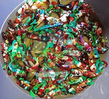 PREMIUM GRADE - Female Koi Galaxy for Sorority Tank - BUY 4 GET 1 FREE - Betta USA Aquatic