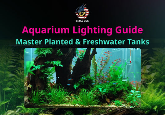 Aquarium Lighting Guide: Master Planted & Freshwater Tanks