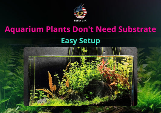 Aquarium Plants That Don't Need Substrate For Easy Setup