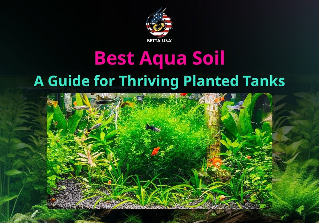 Best Aqua Soil: A Guide for Thriving Planted Tanks