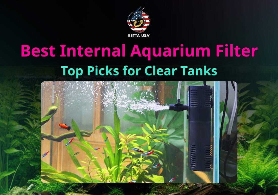 Best Internal Aquarium Filter: Top Picks for Clear Tanks