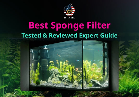 Best Sponge Filter: Tested & Reviewed Expert Guide