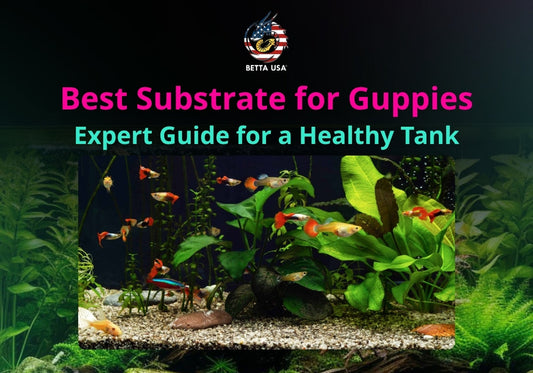 Best Substrate for Guppies: Expert Guide for a Healthy Tank