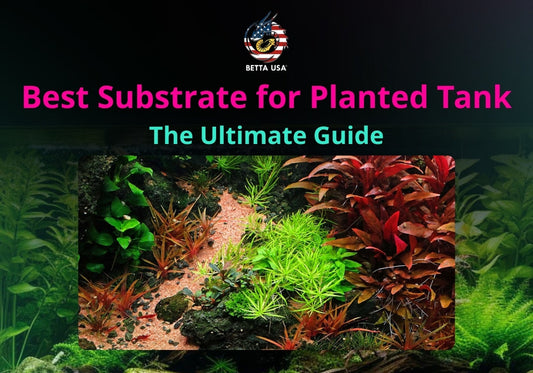 Best Substrate for Planted Tank: The Ultimate Guide