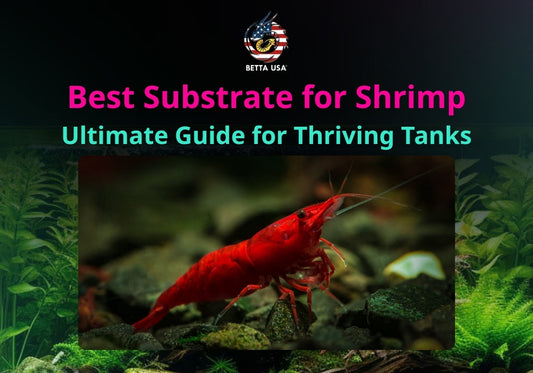 Best Substrate for Shrimp: Ultimate Guide for Thriving Tanks