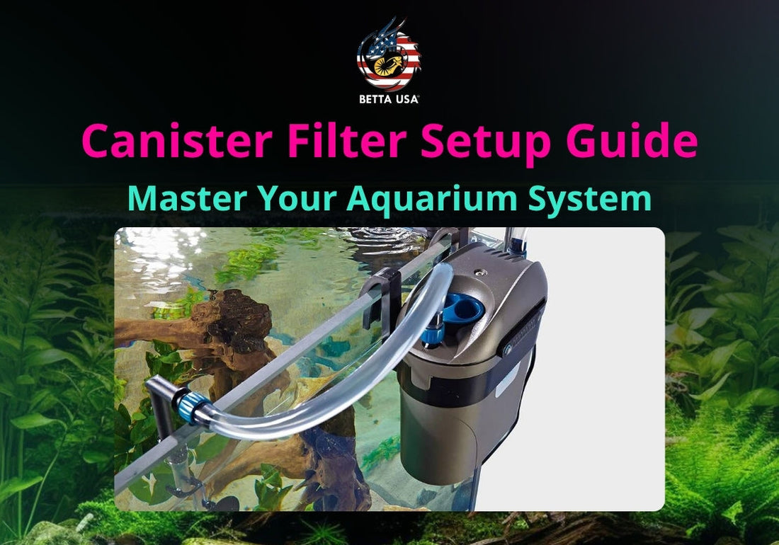 Canister Filter Setup Guide: Master Your Aquarium System – Betta USA ...