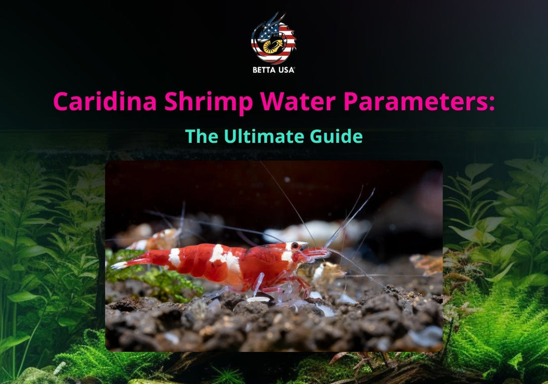 Caridina Shrimp Water Parameters: The Ultimate Guide