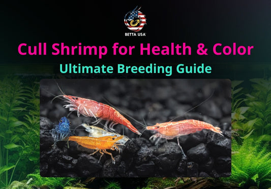 Cull Shrimp for Health & Color: Ultimate Breeding Guide