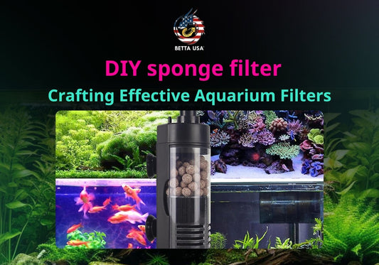 DIY sponge filter: Your Guide to Crafting Effective Aquarium Filters