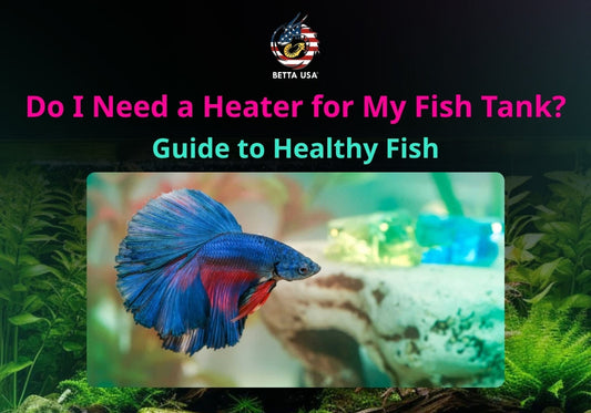 Do I Need a Heater for My Fish Tank? Guide to Healthy Fish