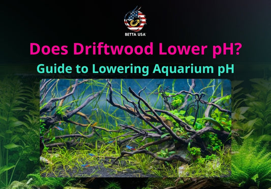 Does Driftwood Lower pH? Guide to Lowering Aquarium pH