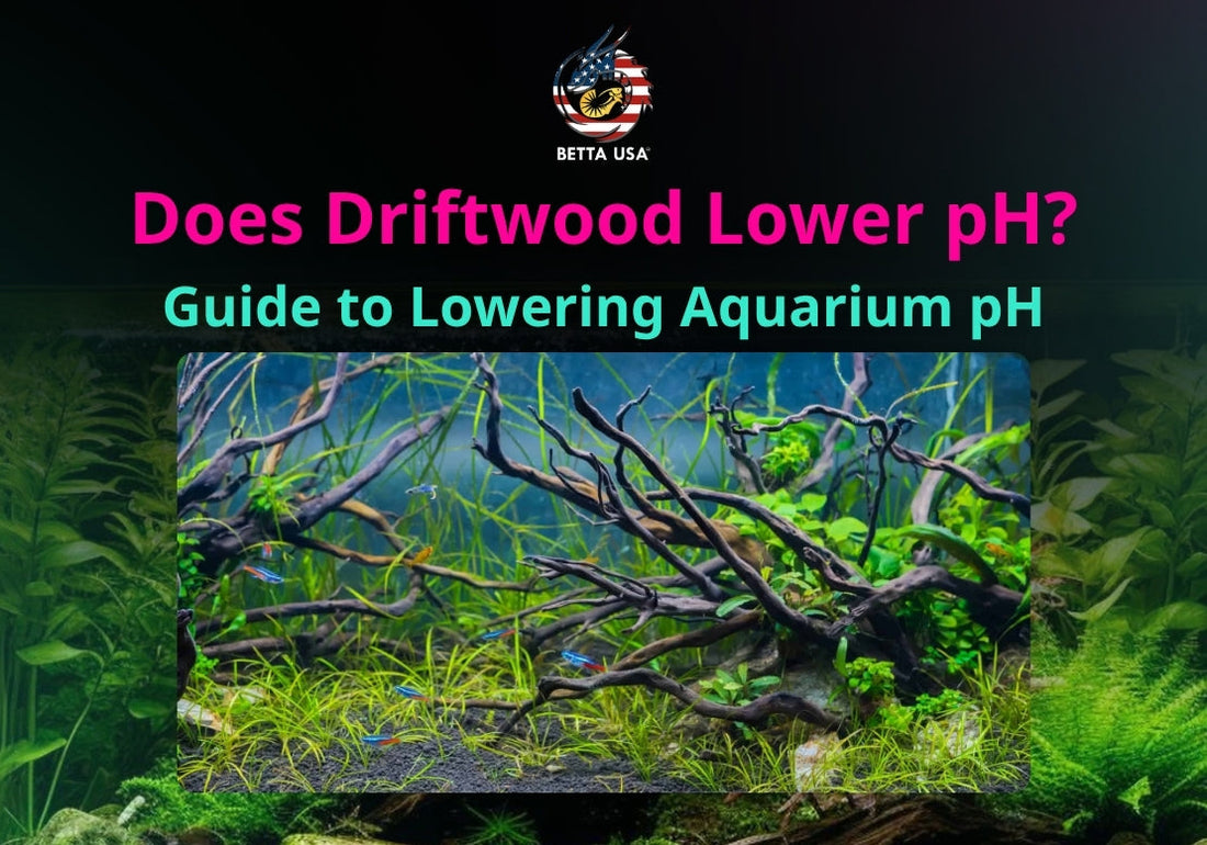 Does Driftwood Lower pH? Guide to Lowering Aquarium pH
