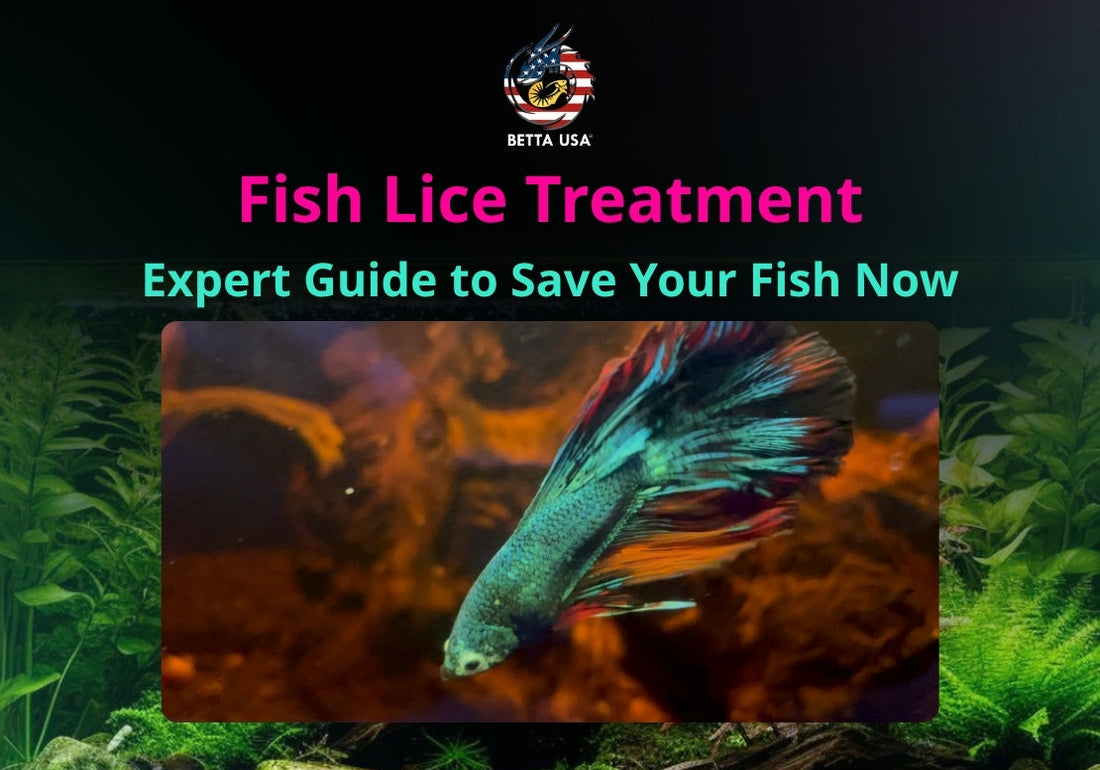Fish Lice Treatment: Expert Guide to Save Your Fish Now