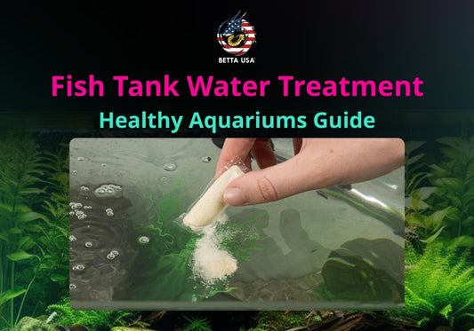 Fish Tank Water Treatment: Healthy Aquariums Guide