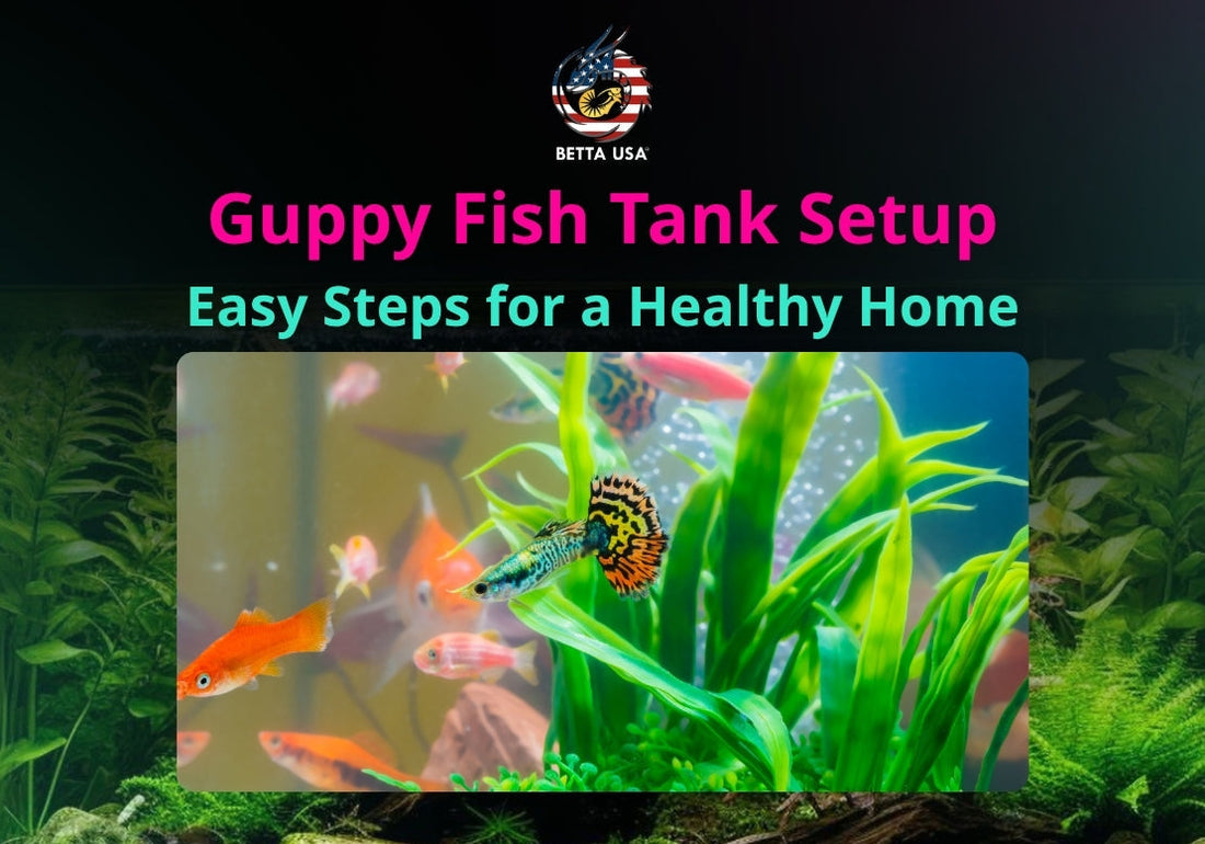 Guppy Fish Tank Setup: Easy Steps for a Healthy Home