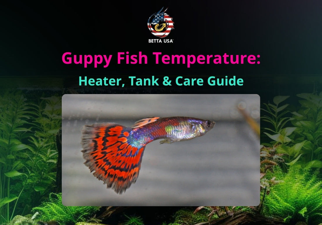 Guppy Fish Temperature: Heater, Tank & Care Guide