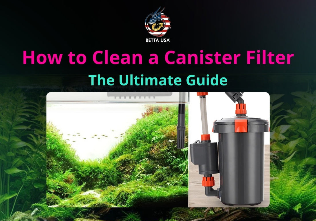 How to Clean a Canister Filter: The Ultimate Guide