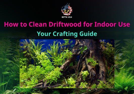 How to Clean Driftwood for Indoor Use: Your Crafting Guide