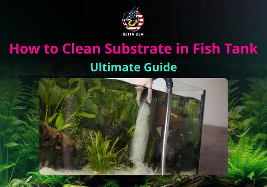 How to Clean Substrate in Fish Tank: Ultimate Guide