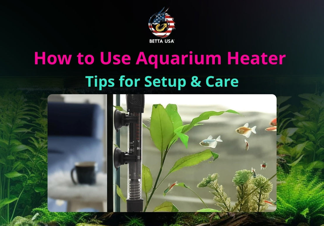 How to Use Aquarium Heater Effectively: Tips for Setup & Care