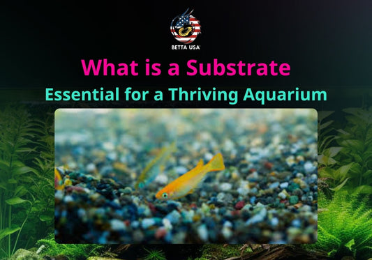 What is a Substrate: Essential for a Thriving Aquarium?