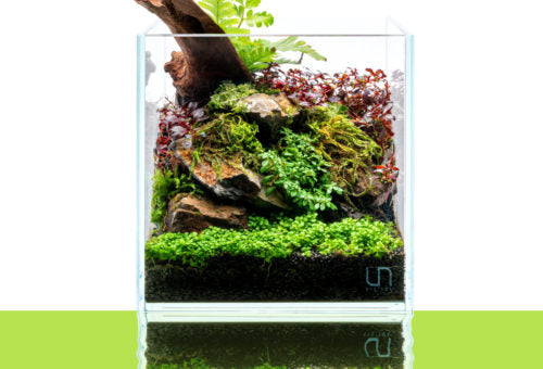 UNS 16C - 1 Gallon Ultra Clear Rimless Aquarium - Betta USA Aquatic