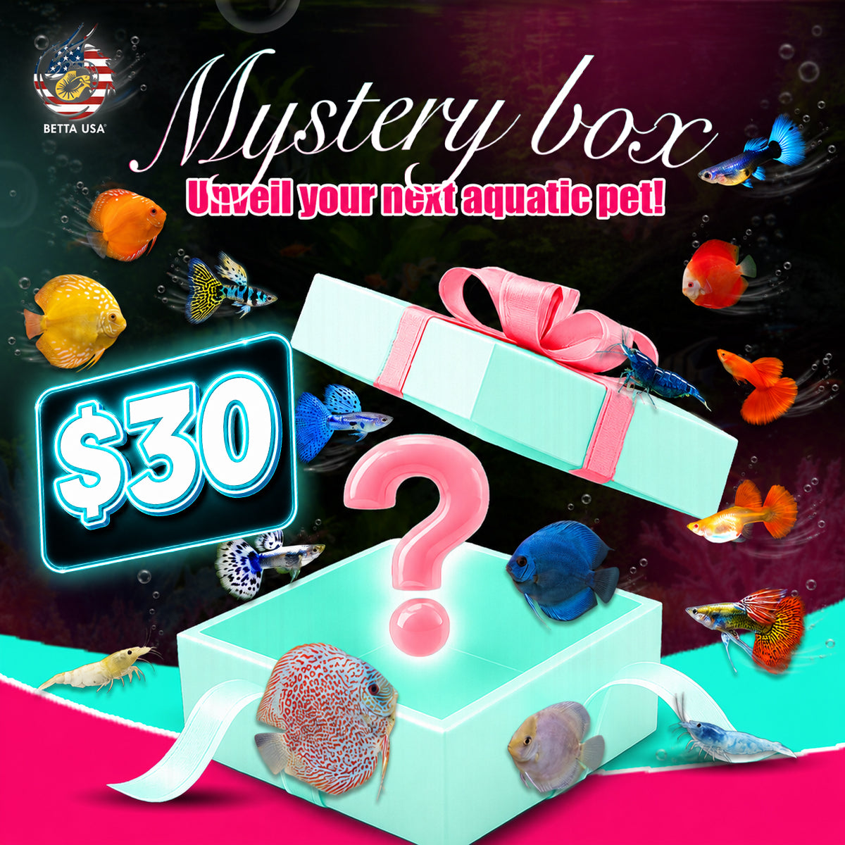 Mystery Box – Live Stock $30 - Betta USA Aquatic