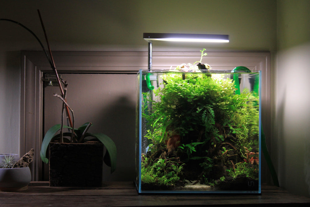 UNS 30C - 7.1 Gallon Ultra Clear Rimless Aquarium - Betta USA Aquatic