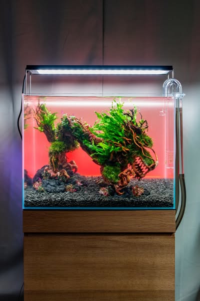 UNS 60T - 25.6 Gallon Ultra Clear Rimless Aquarium